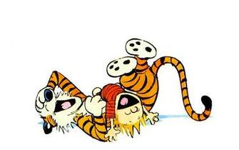 Calvin Hobbes Wallpaper