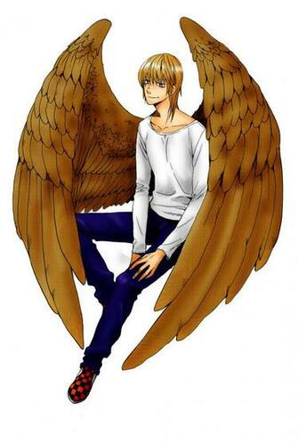 Maximum Ride Iggy Anime Imgkid The Image Kid
