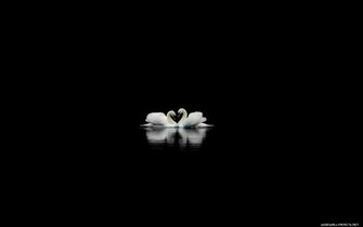 Love Black Wallpaper