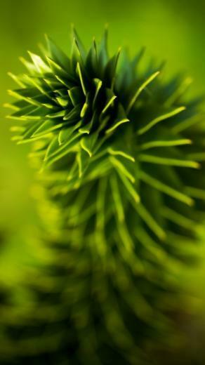 iPhone HD Wallpaper Wow Windows Tips And