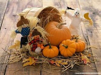 Scene Of Pumpkins Fall Pumpkin Display Thanksgiving Autumn