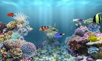 Re Of Anipet Marine Aquarium HD Apk Momoxoo