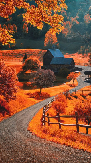 Best Autumn Phone Wallpaper Ideas In