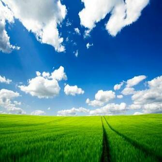 Desktop Wallpaper Gadget High Definition