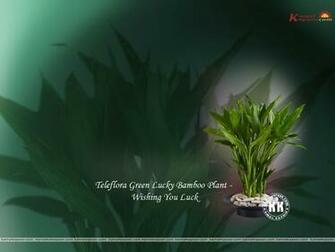 Feng Shui Wallpaper For Wealth Fang Desktop