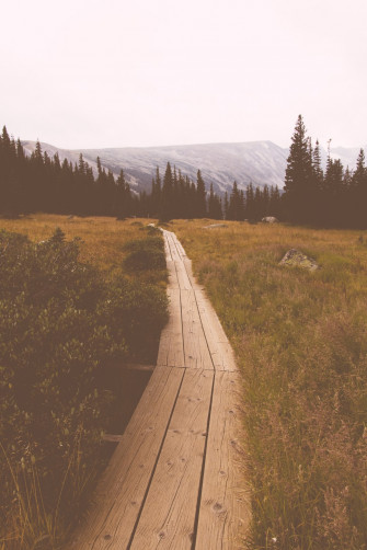 Wooden Pathway Between Grassfield Photo Ward Image