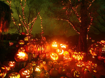 Halloween Background
