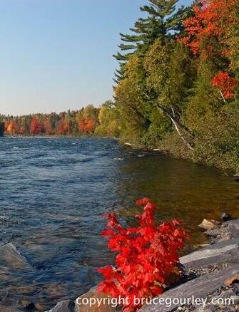 Maine Fall