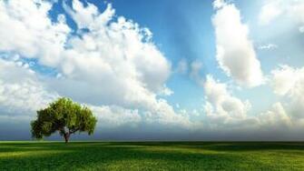 Cute 3d Nature Wallpaper Mobile
