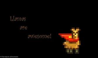 Llama Wallpaper Quoteko