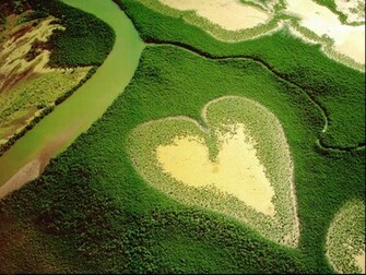 True Nature Of Love HD Wallpaper The