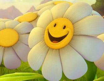 Flowers For Flower Lovers Desktop Wallpaper
