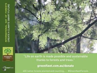 International Day Of Forests Mar Act Abc Hub
