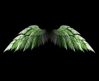 Angel Wing Wallpaper Quoteko