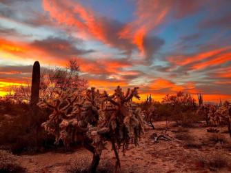 Scenic Arizona Photo Gallery Nov The Daily Independent