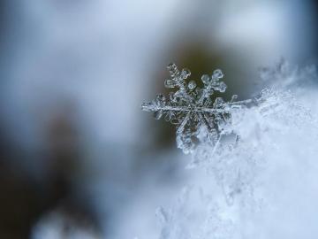 Winter Wallpaper HD Hq