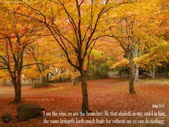 Fall Pictures With Scripture Kjvchristianwallpaper Spot