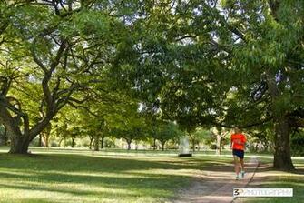 3p Photography Runner S World Rave Run Article June Edition