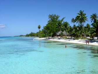 Tropical Beach Wallpaper Desktop Cool