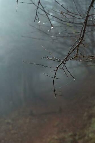 Untitled With Image Photo Scenery Nature Photography