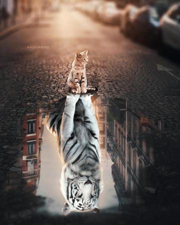 Dream Big An Art Print By Ruvim Noga Animals Beautiful Cute