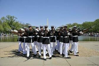 Us Marine HD Wallpaper