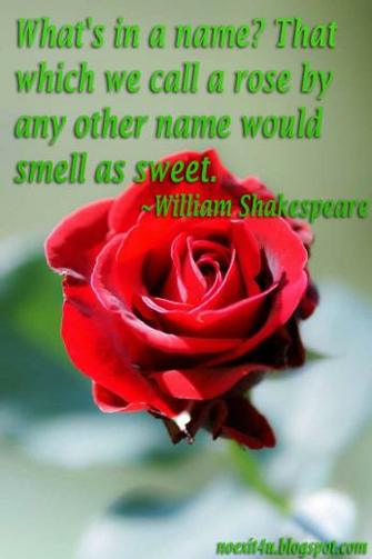 Image Of Roses With Quotes Tags Rose Wallpaper HD