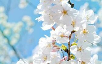 Beautiful Wallpaper Desktop Cool