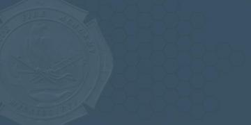 Msfa Lms