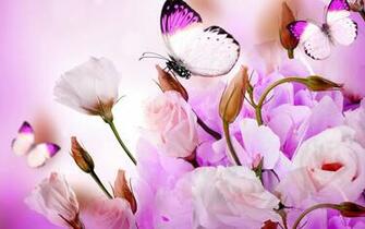 Flowers And Butterflies Wallpaper Sf