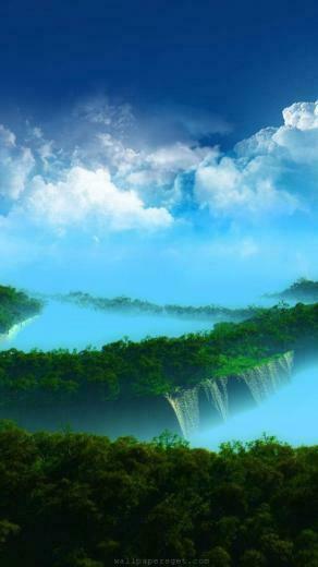 Nature Forest Amazing Wallpaper HD Background Pictures