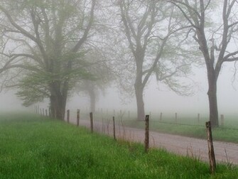 Wallpaperdepo Net Cades Cove In Early