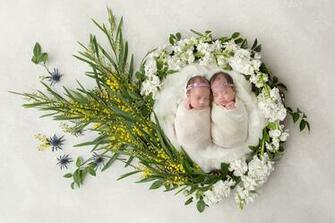 Newborn Digital Backdrops And Background For Photographers