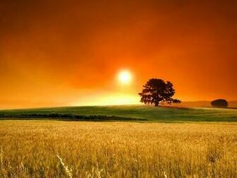 Scenery Wallpaper Background Photos Image Andpictures For