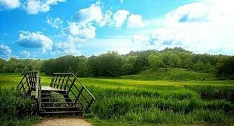 Laptop Nature HD Wallpaper