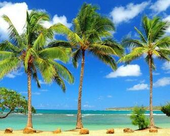 Sunny Beach Wallpaper