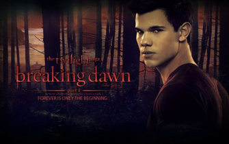 Breaking Dawn Wallpaper The Movie