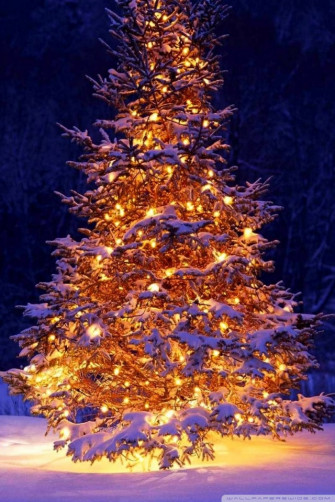 Christmas Outdoor Decorations Ultra HD Desktop Background
