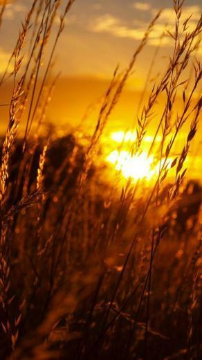 Sunset Lg G2 Wallpaper HD