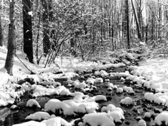 HD Winter Wallpaper