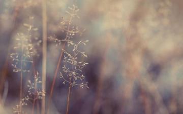 Vintage Hipster Wallpaper Top Background