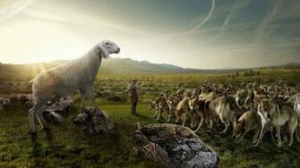 Pics Photos Sheeps Shepherd