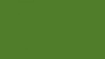 Green Solid Color Background And The Below