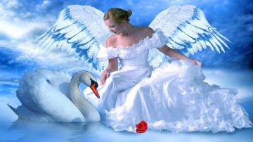 Swan Lake Blue Angel Girl Red Rose Fantasy Art Beautiful Desktop