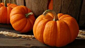 Pumkin Wallpaper Image