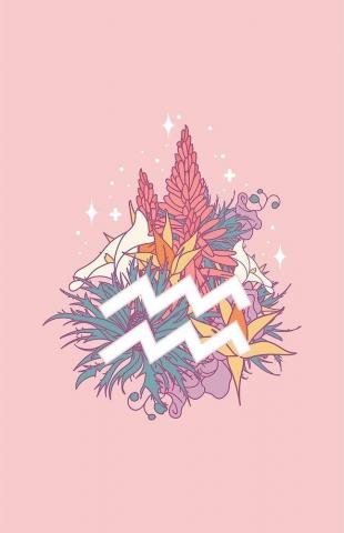 Aquarius Flowers Pink By Venusandmoon In