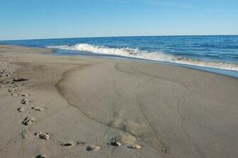 Cape Cod In The Fall A Celebration Of Art And Food