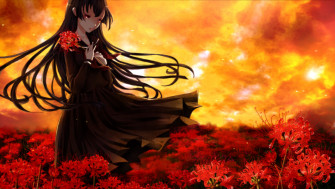 Dusk Maiden Of Amnesia Anime Artworks Fanart Tag