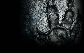 Evolve Wallpaper