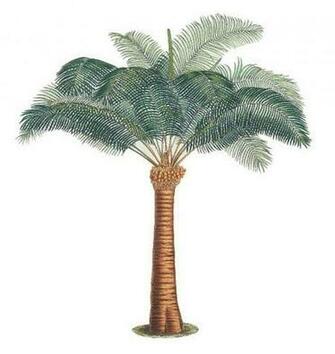 Wallies Wallpaper Murals Anna Griffin Palm Tree